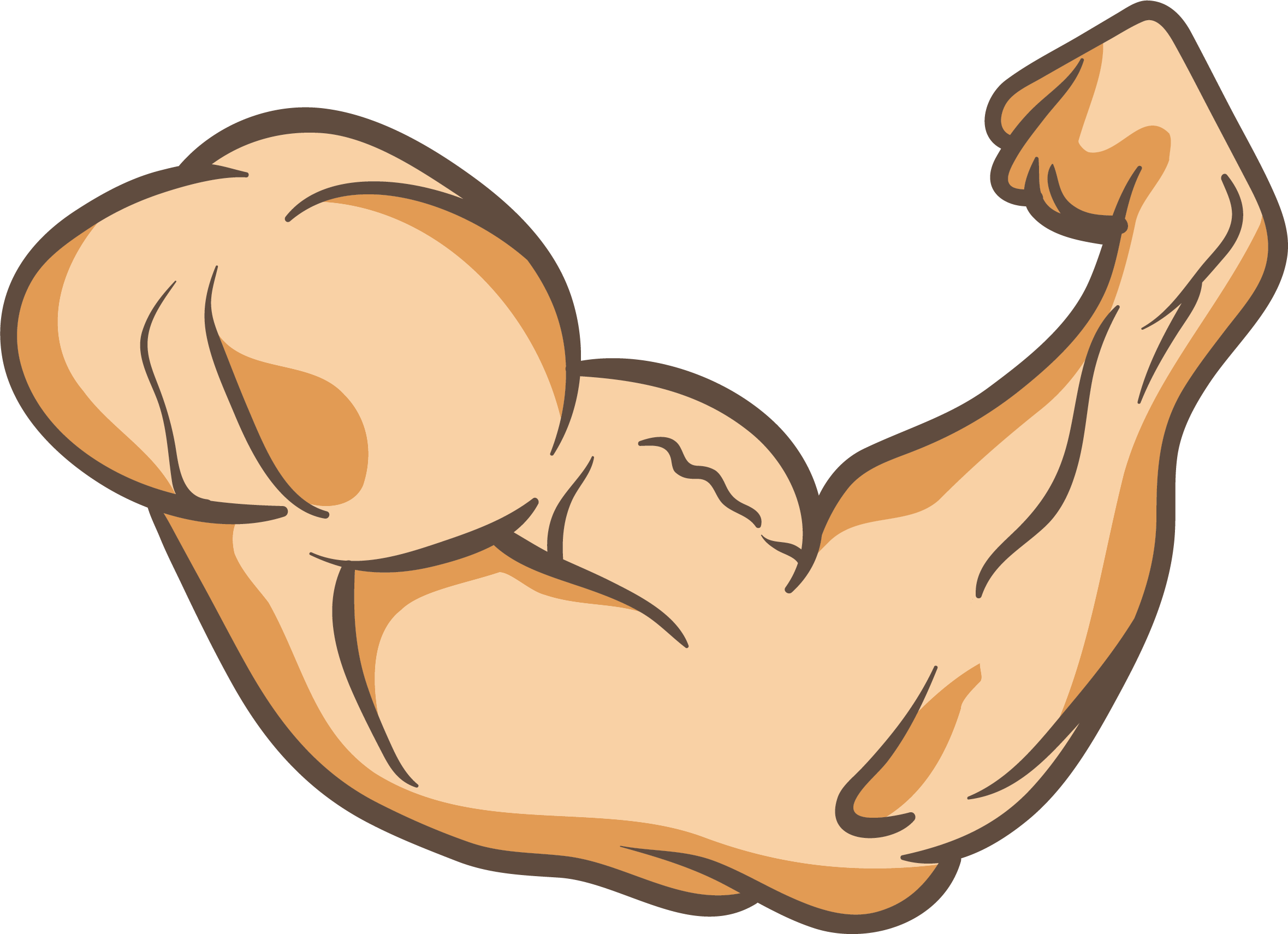 Arms thumb muscle clip. Muscles clipart upper body