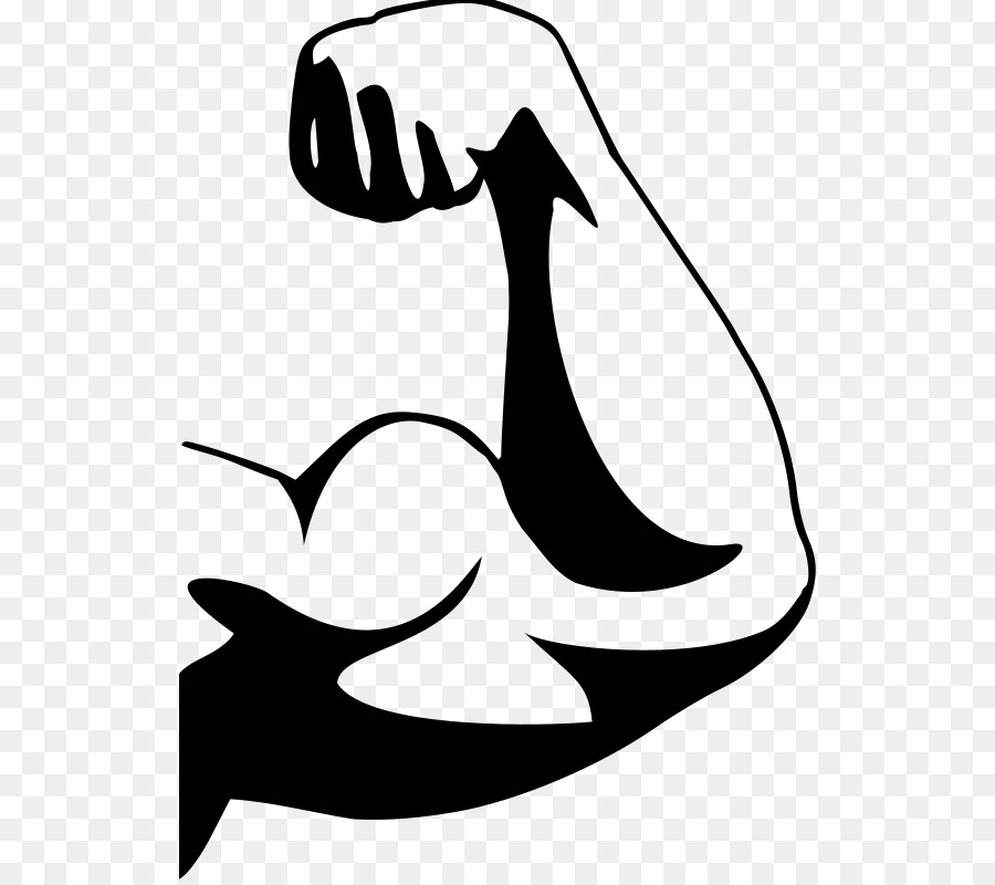 arms clipart muscular arm