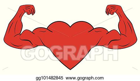 arms clipart muscular arm
