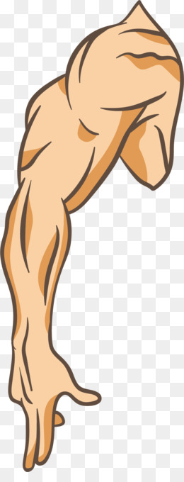 muscle clipart right arm