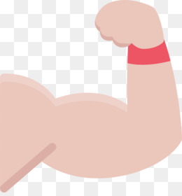 Arms clipart skin. Muscle png and psd