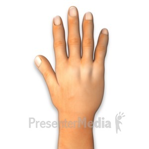 Human hand finger point. Arms clipart skin