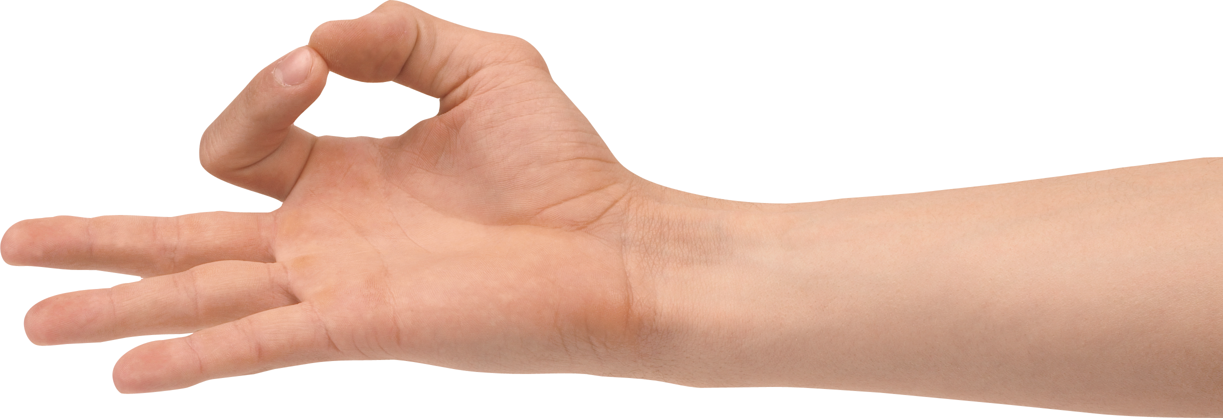 Hands clipart forearm. Png free images pictures
