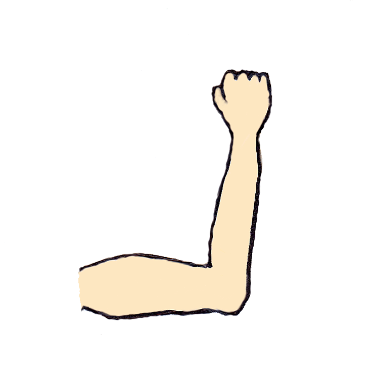 muscles clipart right arm