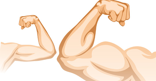 Muscles clipart weak muscle. Arm cartoon group and