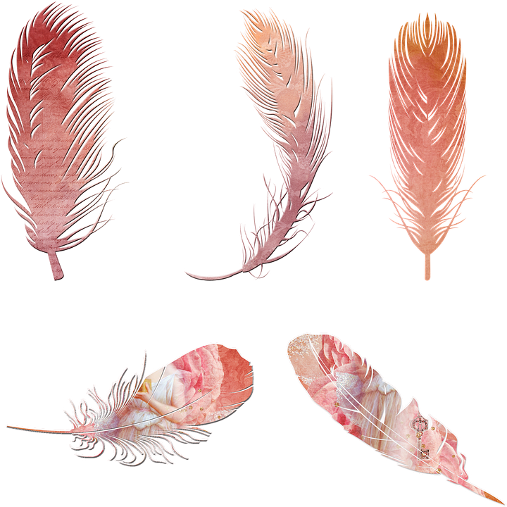 Free image on pixabay. Clipart arrows feather