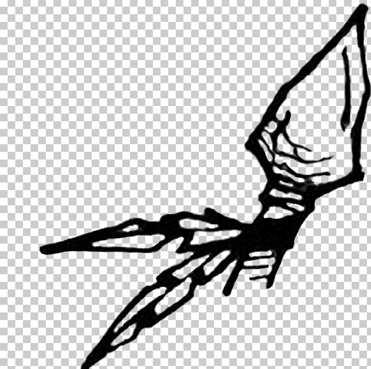 Arrowhead clipart order arrow. Drawing png arm art