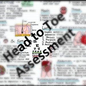 assessment clipart head to toe