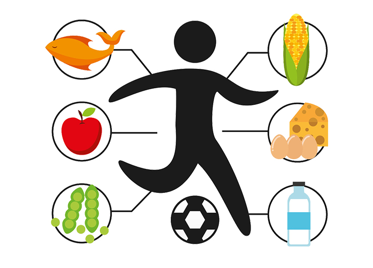 athletic clipart nutrition