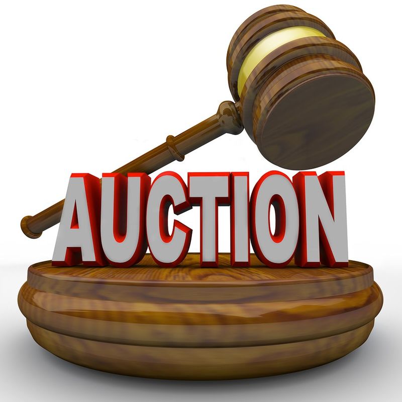 auction clipart judge's