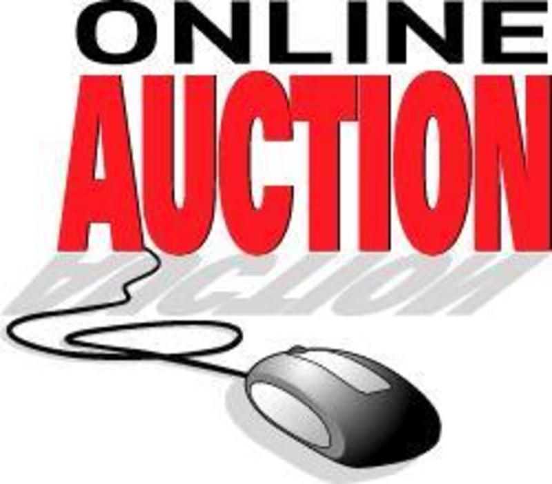 auction clipart youth