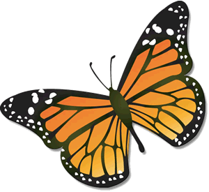august clipart butterfly