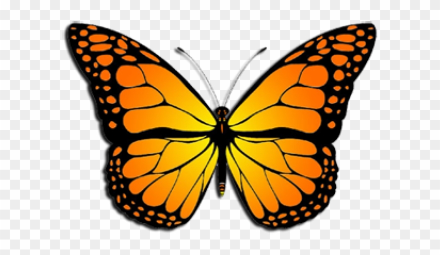clipart butterfly monarch
