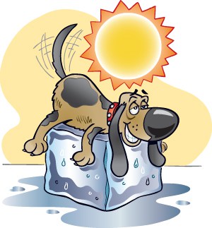 Days of summer at. August clipart dog day