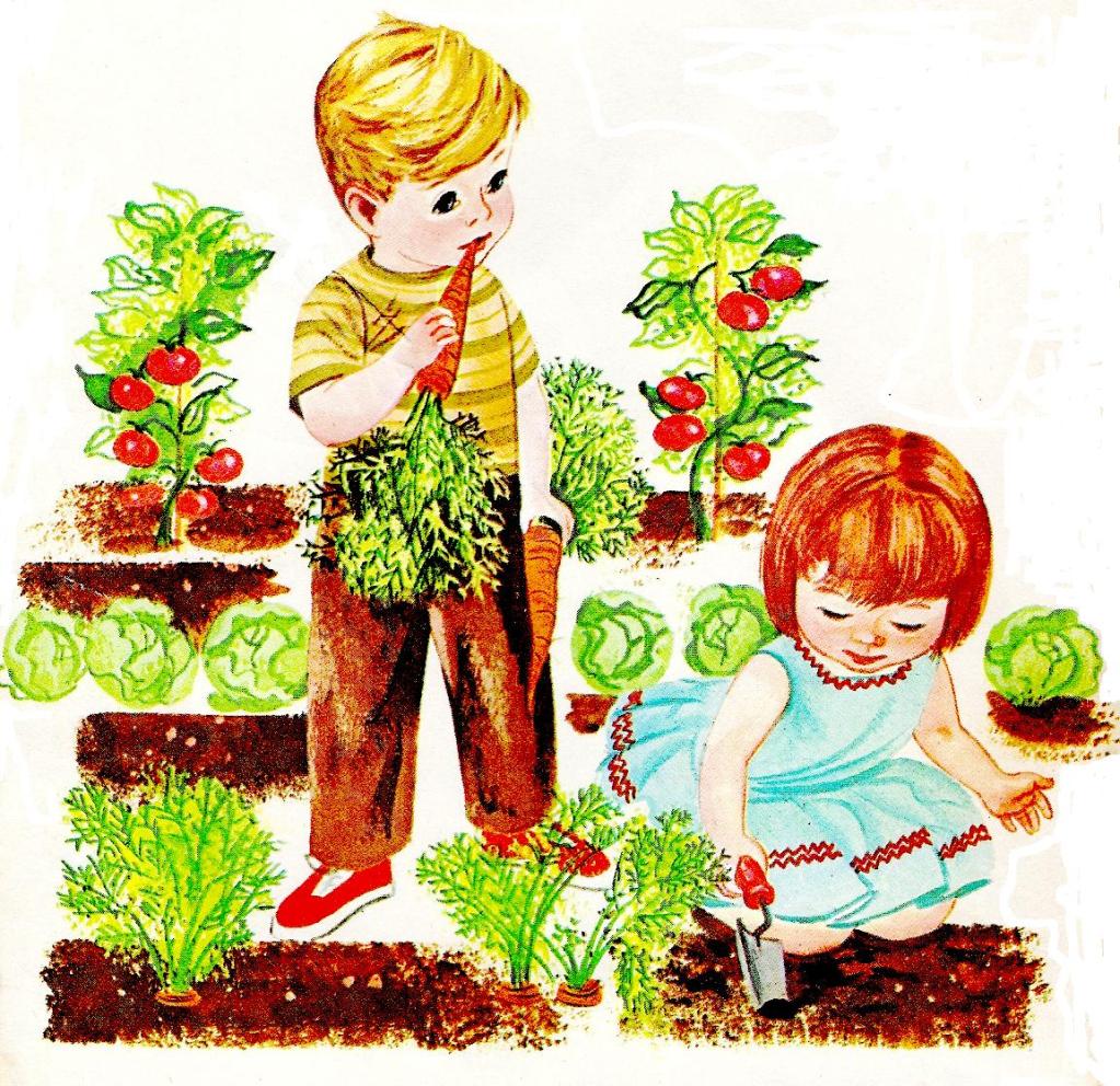 Нарисуем огород там растет два куста ягоды. Огород для детей. Сюжетная картина огород. Огород для дошкольников. Посадка растений в детском саду.