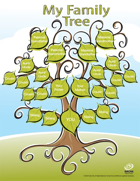 aunt clipart extended family tree