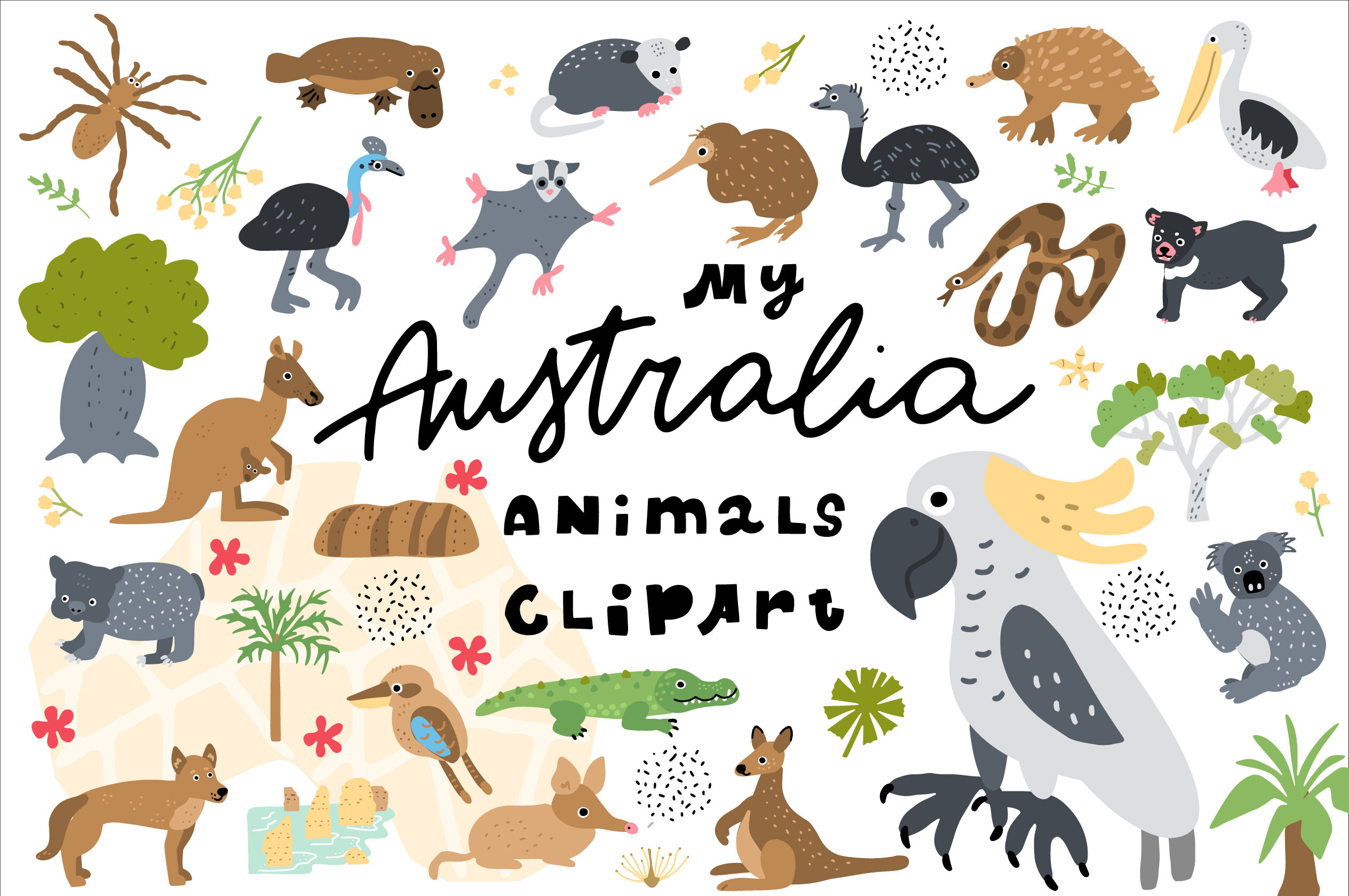 australia clipart animal australian