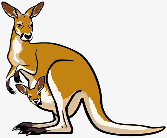 australia clipart kangaroo