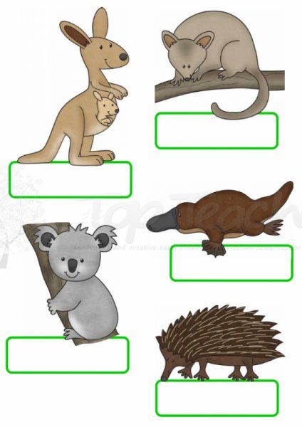 Australian animal tags top. Australia clipart name