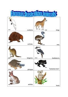 Australia clipart name. Australian animals colouring pages