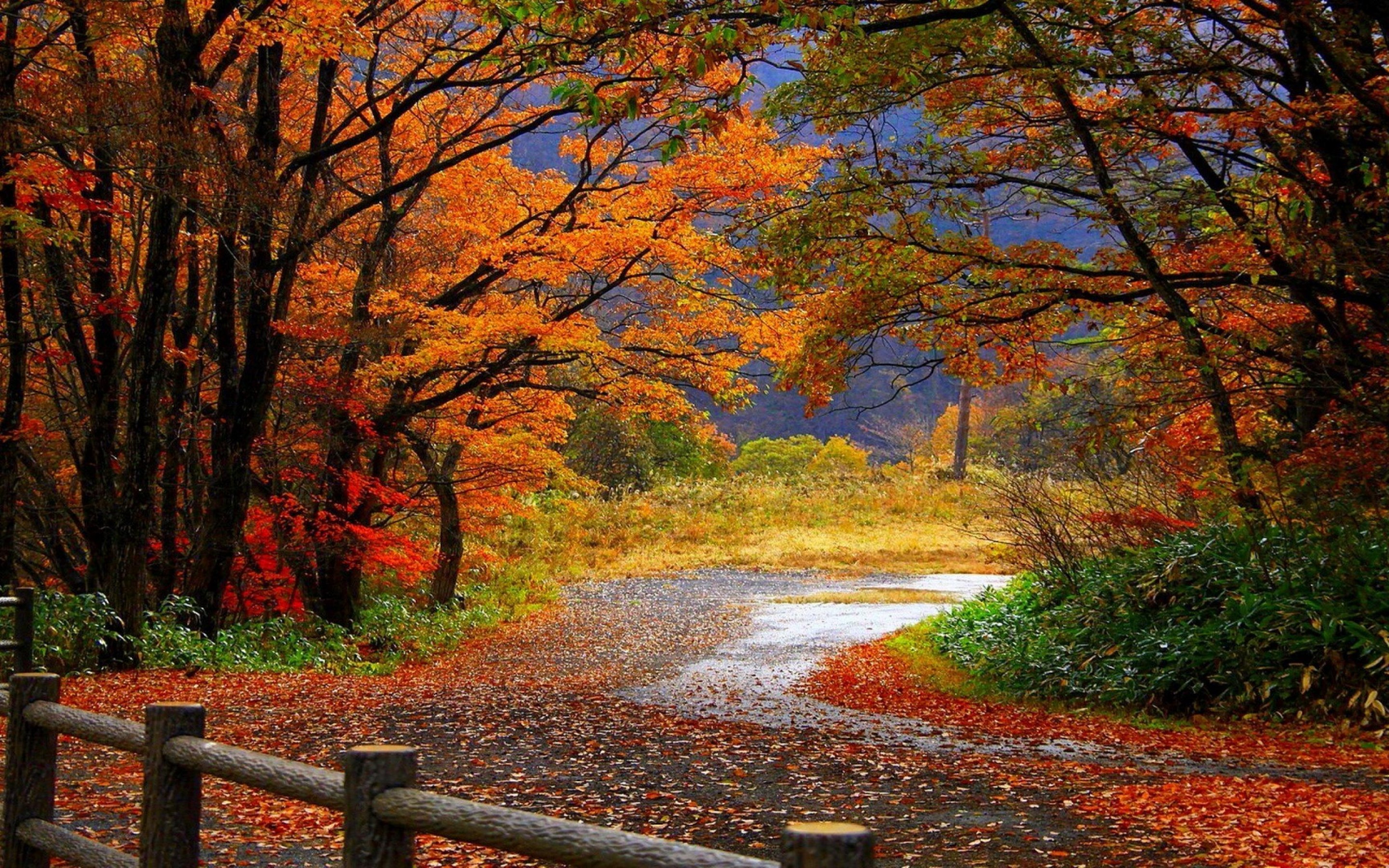 fall clipart autumn landscape