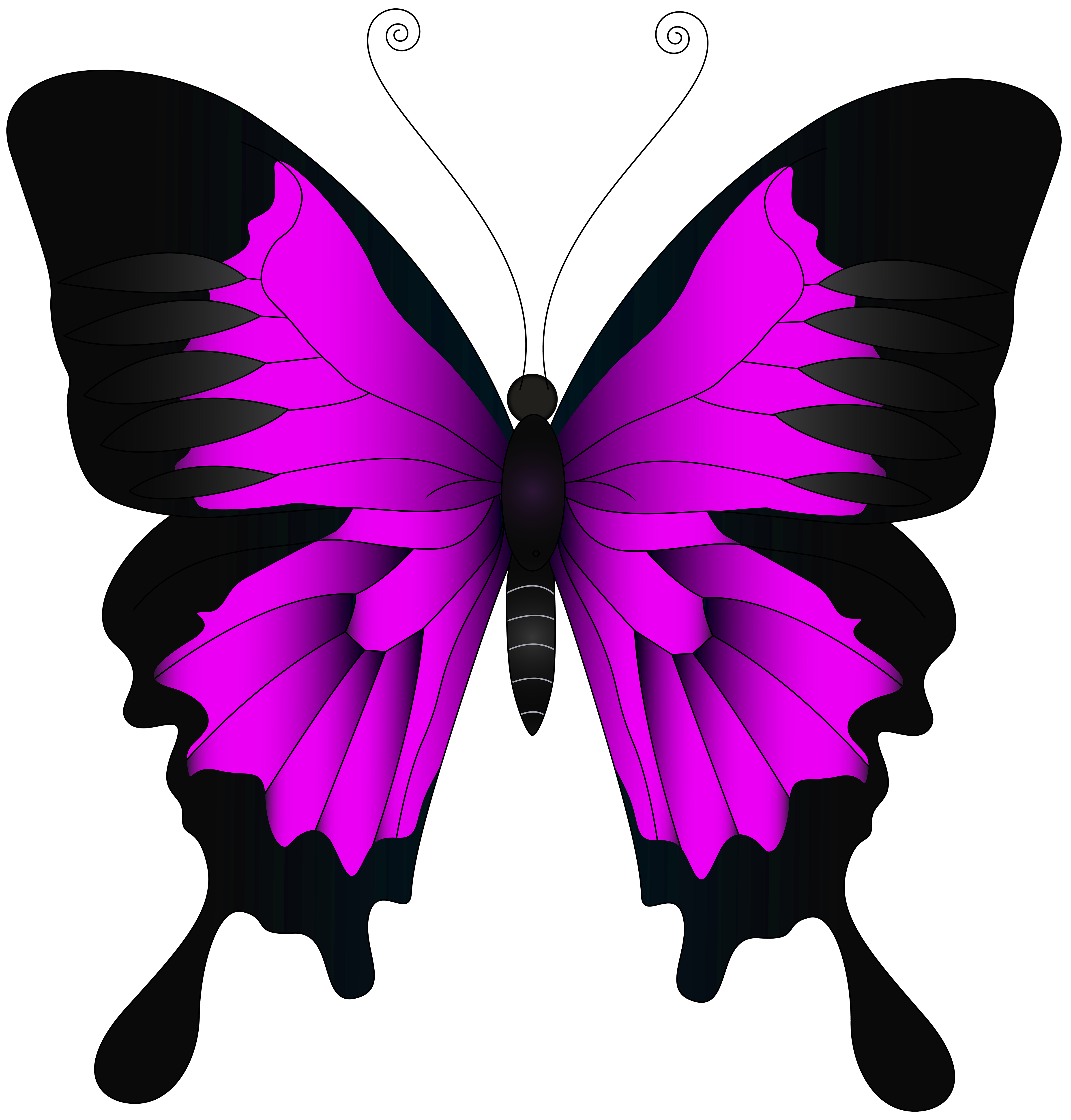 Clipart school butterfly. Pink png clip art