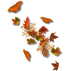 autumn clipart butterfly