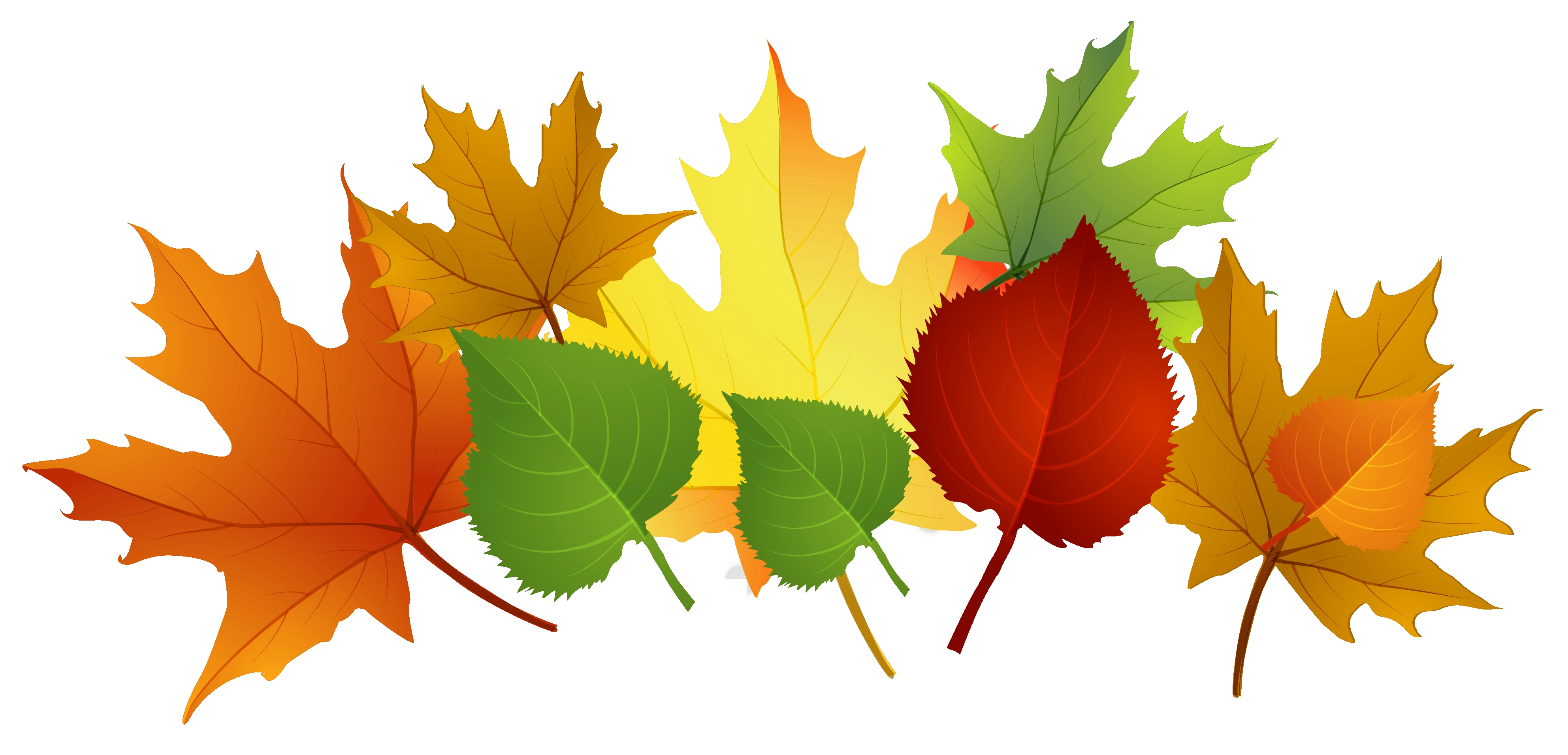 Autumn clipart divider. Free leaves topplabs org