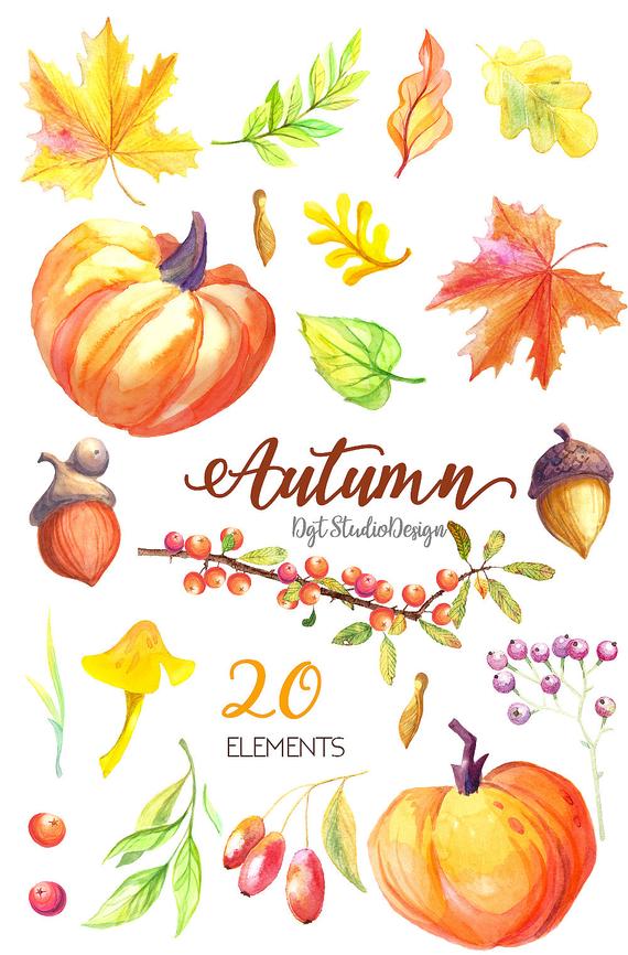 Watercolor fall pumpkin maple. Autumn clipart element