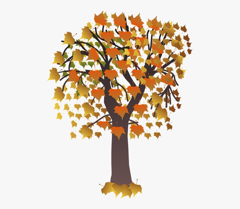 clipart fall maple tree