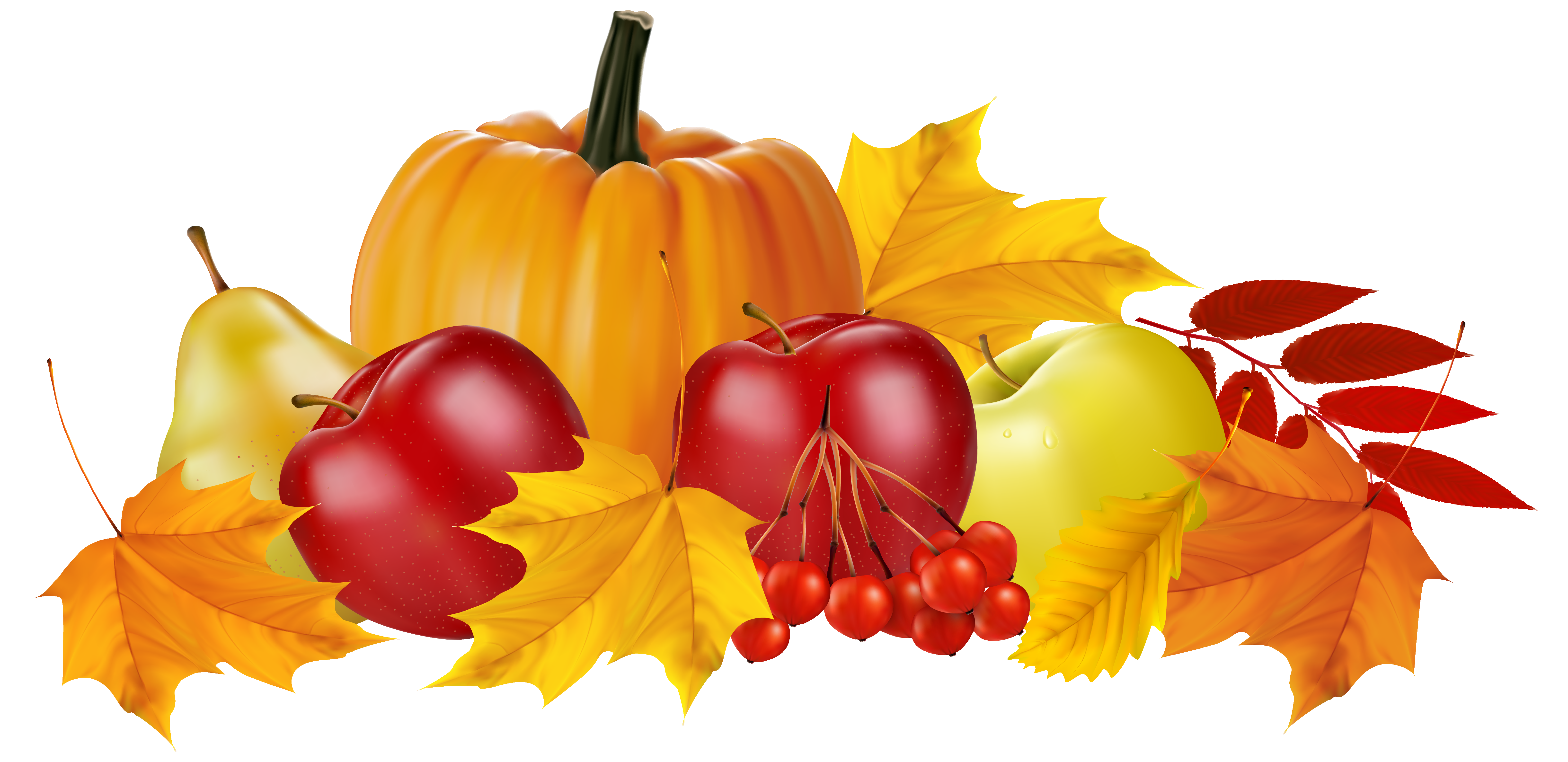 Pumpkin and fruits png. Hedgehog clipart autumn