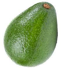 avocado clipart advocado