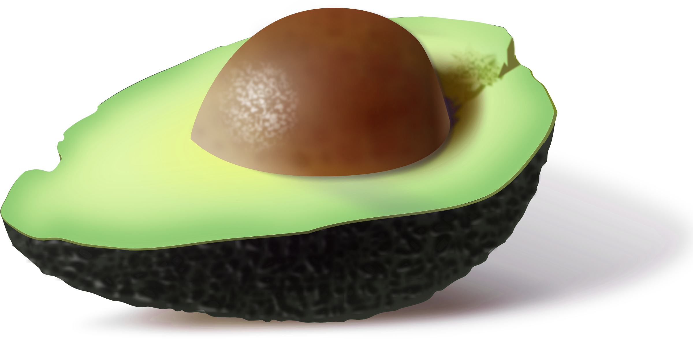 Nut avocado