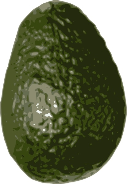 avocado clipart avacado
