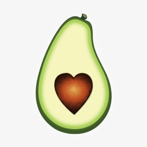 avocado clipart avacado