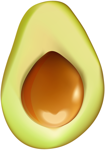 Avocado clipart avocado half. Png clip art image