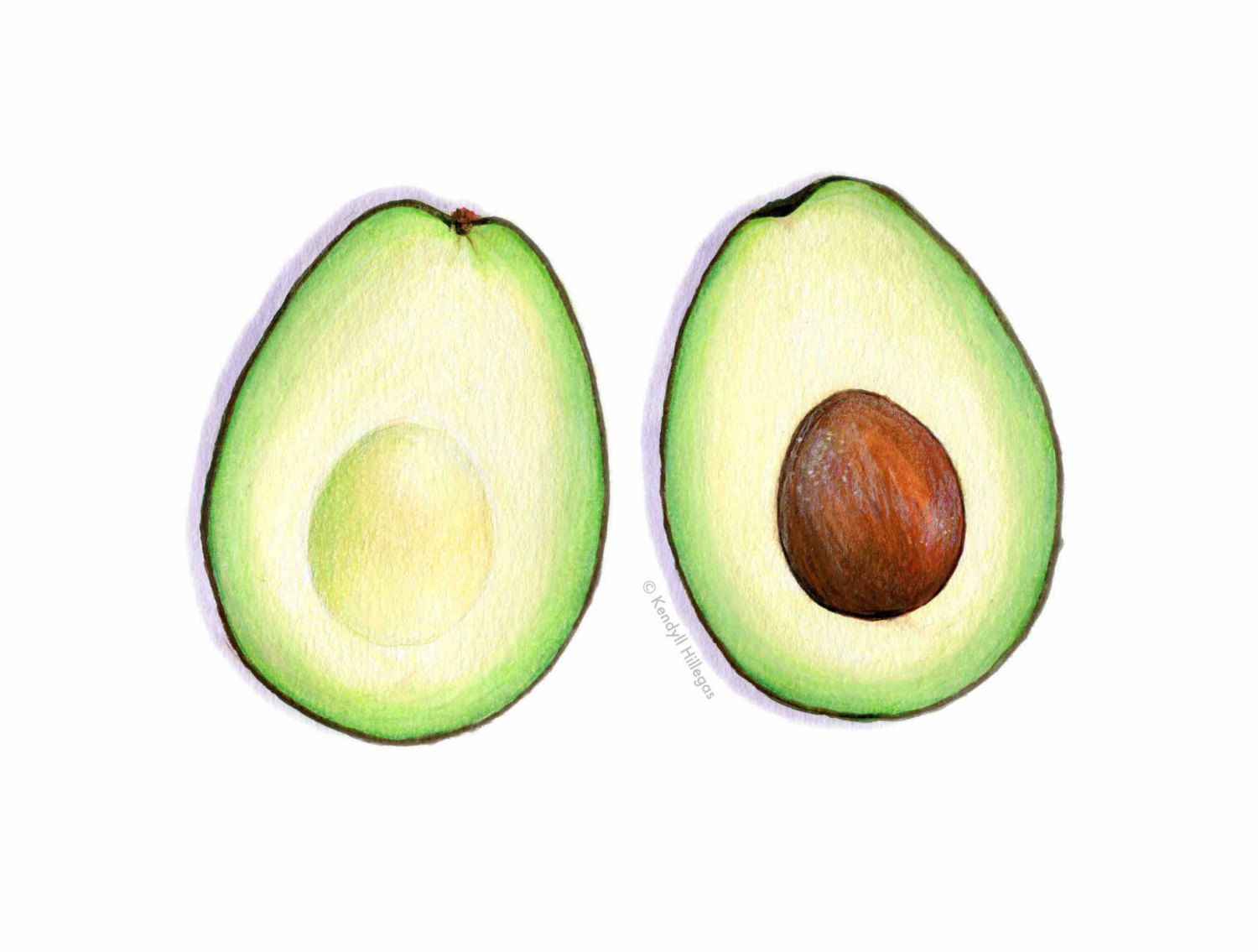 Halves art food illustration. Avocado clipart avocado half