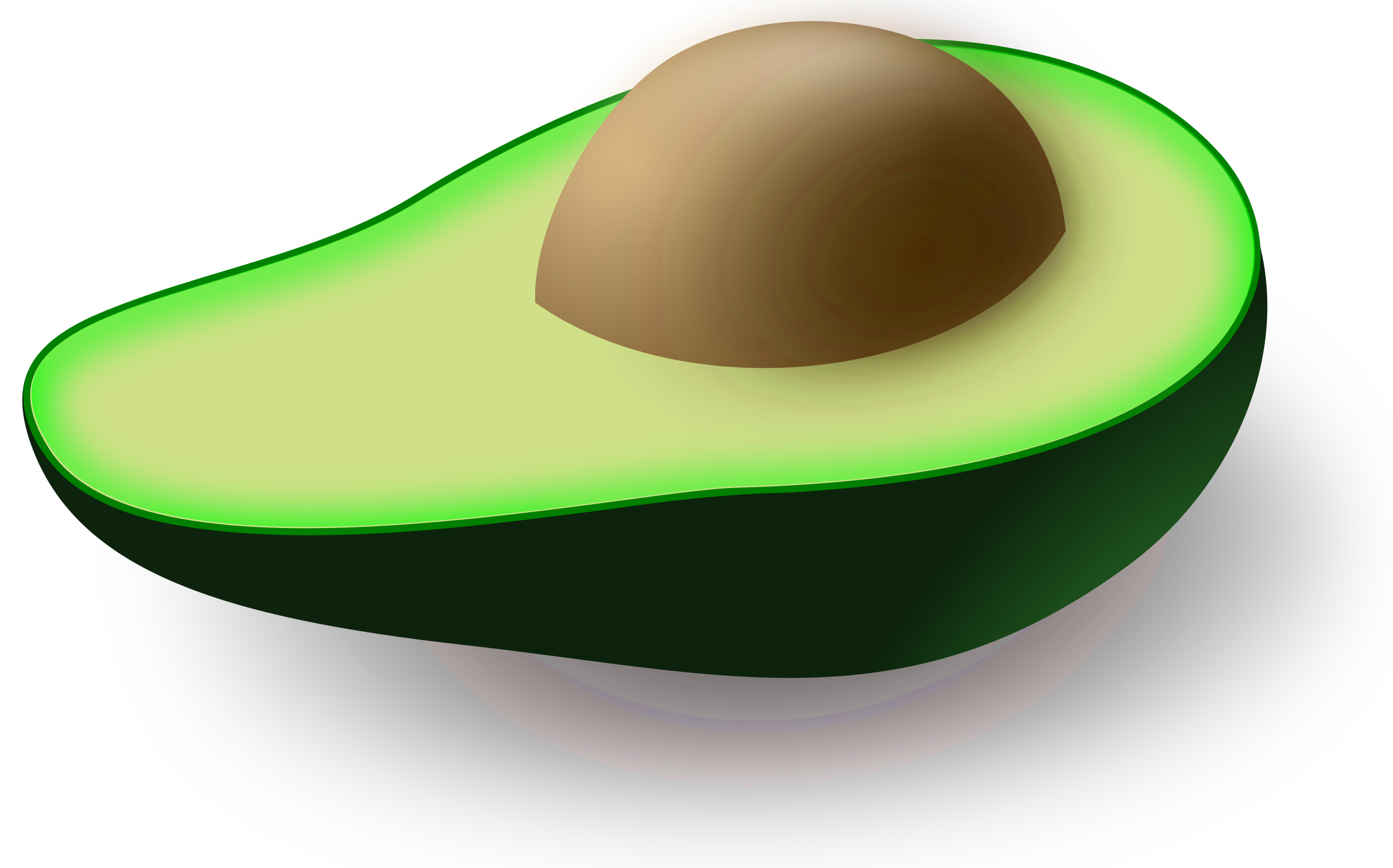 Avocado avocado seed