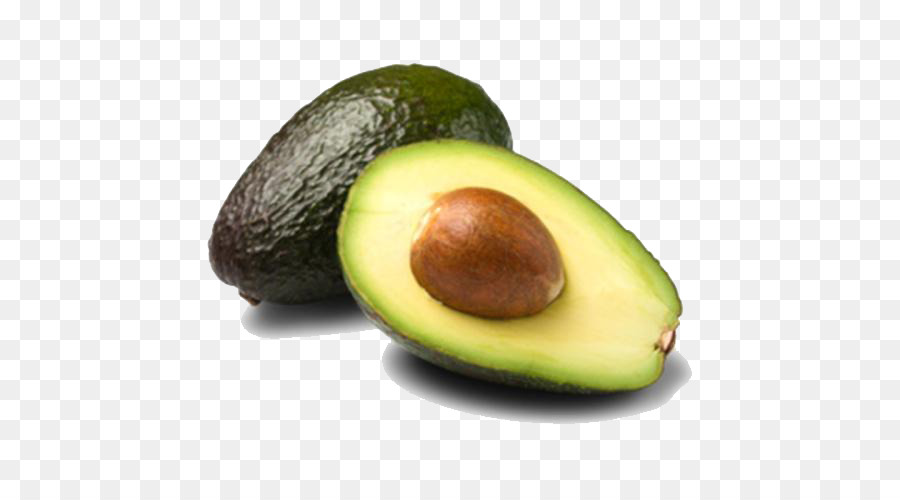 avocado clipart avocado seed