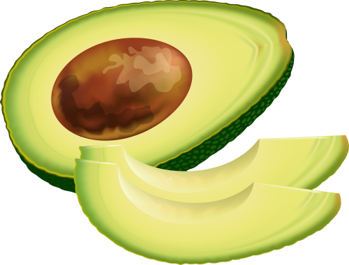 avocado clipart avocado slice