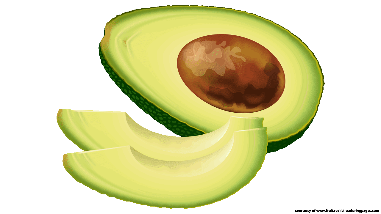 Avocado avocado slice