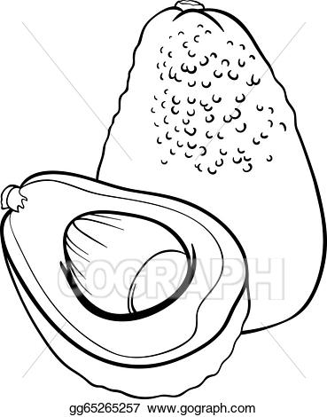 Vector illustration fruit for. Avocado clipart black and white