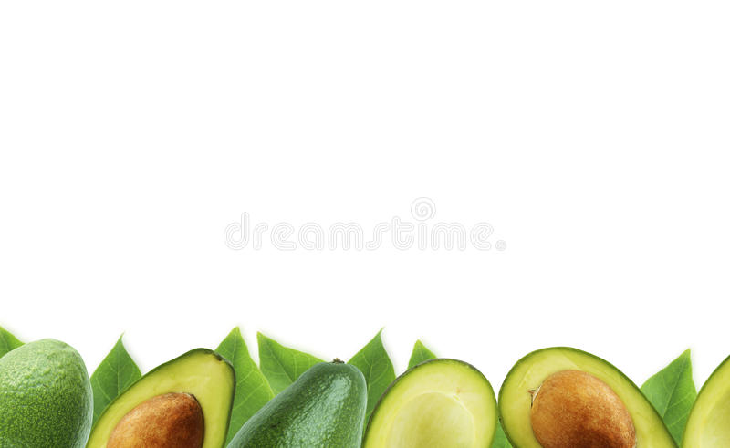 avocado clipart border