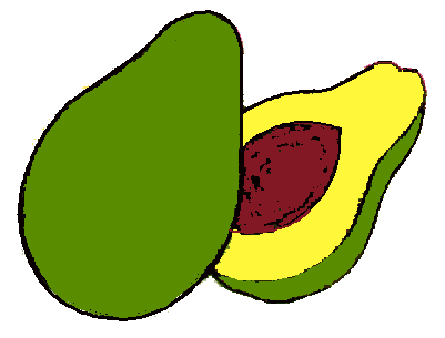 avocado clipart clip art