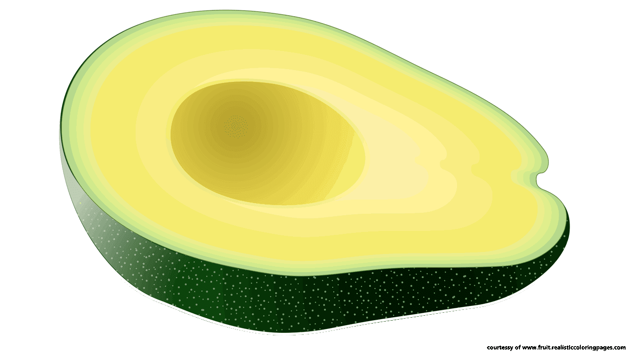 Cute clipart avocado. Free download best on