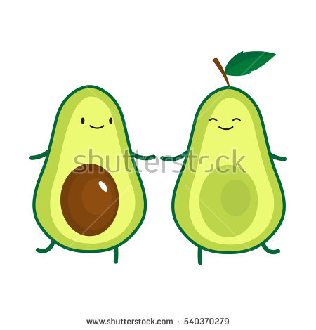 avocado clipart draw