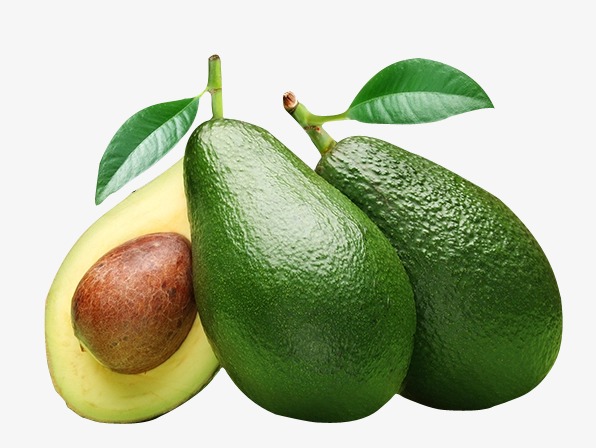 avocado clipart green fruit