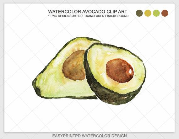 Avocado clipart green fruit. Watercolor clip art hand