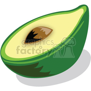 avocado clipart illustration
