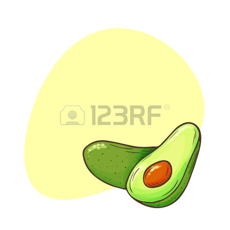 avocado clipart mango seed